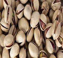 تصویر 1 از خرید پسته کله قوچی خام عمده + قیمت فروش استثنایی